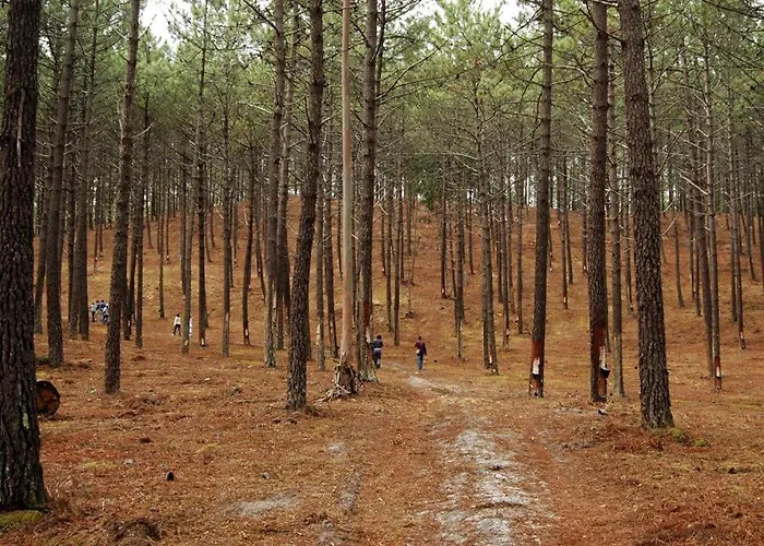 Casa vacanze Casa Ana *